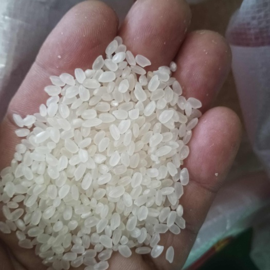 沈阳东北沈阳大米源头厂家现代化机械保证常年有货稳定供应，价格美丽