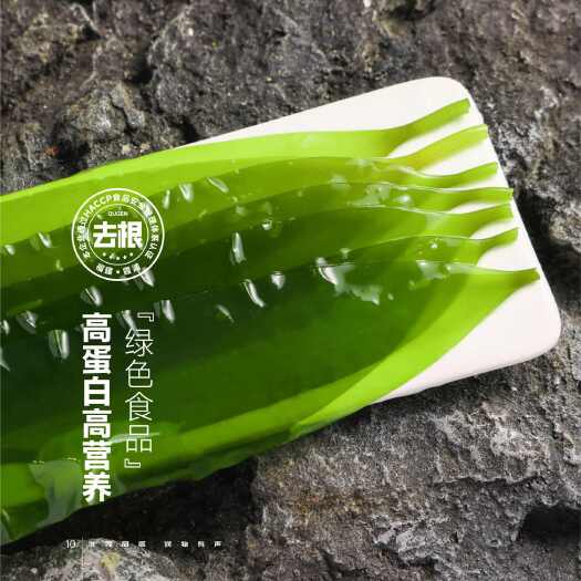 霞浦县去头去尾速冻海带苗