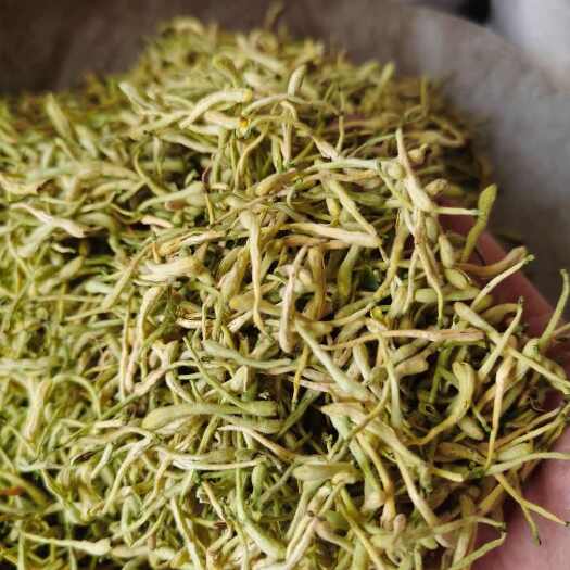 金银花山东银花和云南银花两种需要的老板详细了了