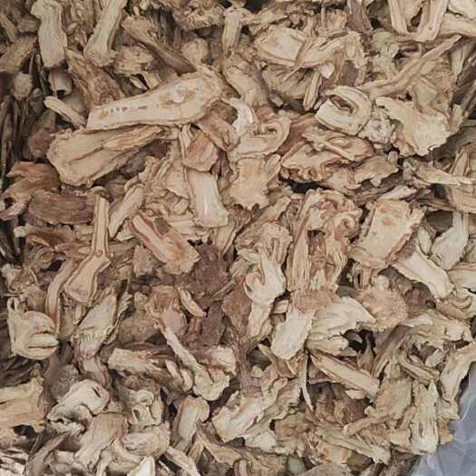 安国市当归  切片干货当归 量大从优！欢迎选购！