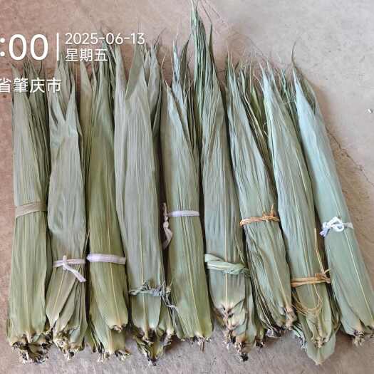 广东干粽叶