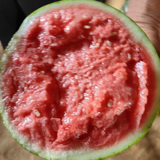 常山蜜童西瓜，皮薄，可口无籽甜度特高，品质优良，大量供应