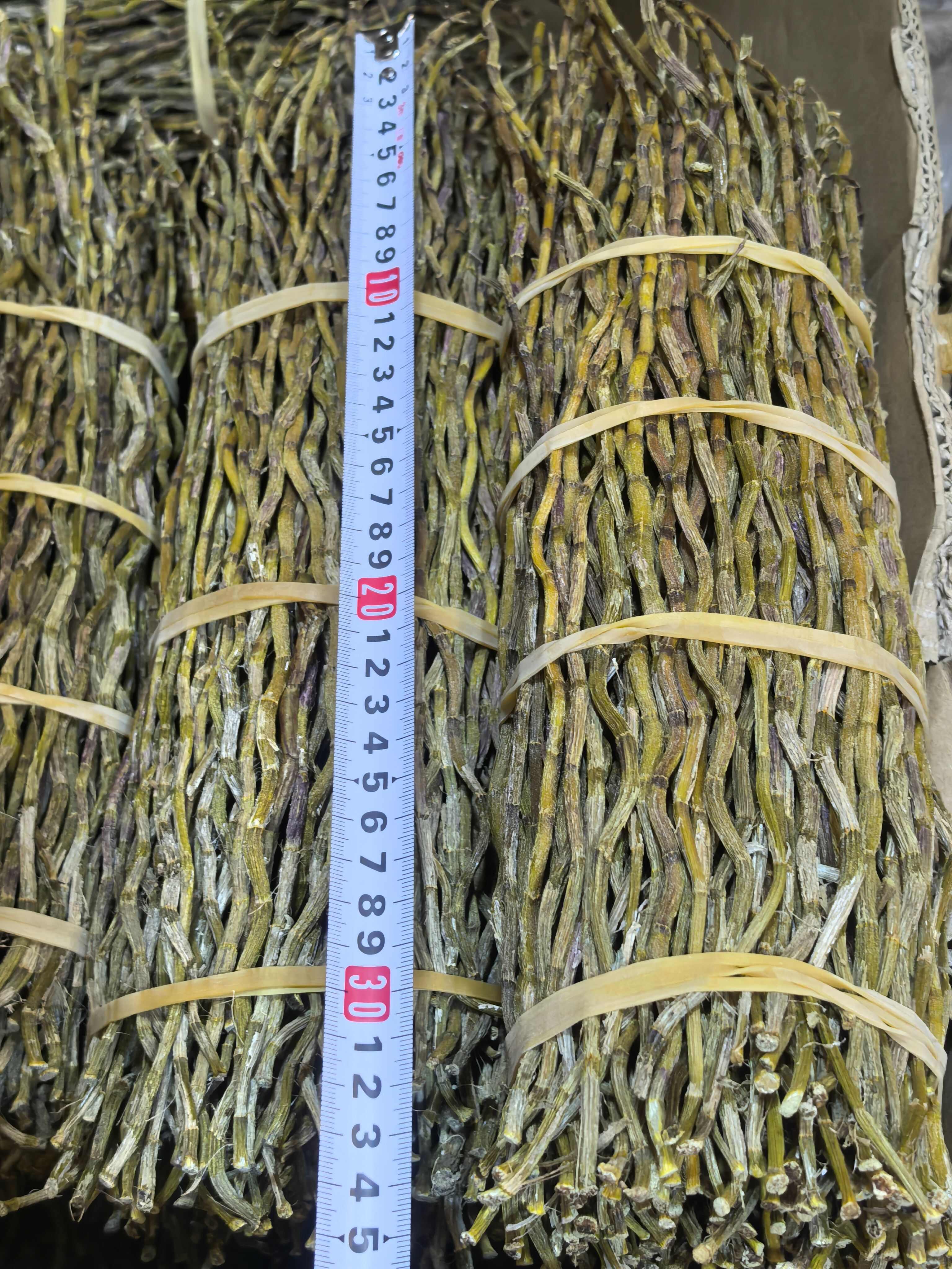 铁皮石斛捆条，长度25-35公分