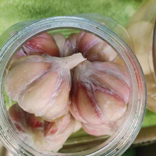 株洲茶陵三宝伏蒜