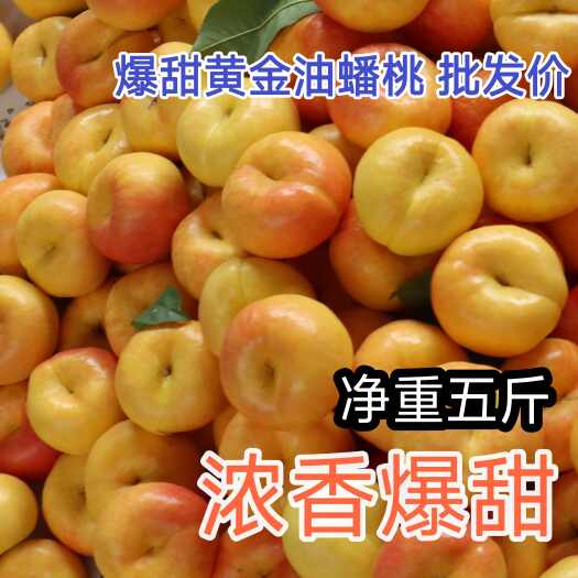 黄金油蟠桃彩虹蟠桃早金霞黄土高原沙土地河南灵宝市浓香甜