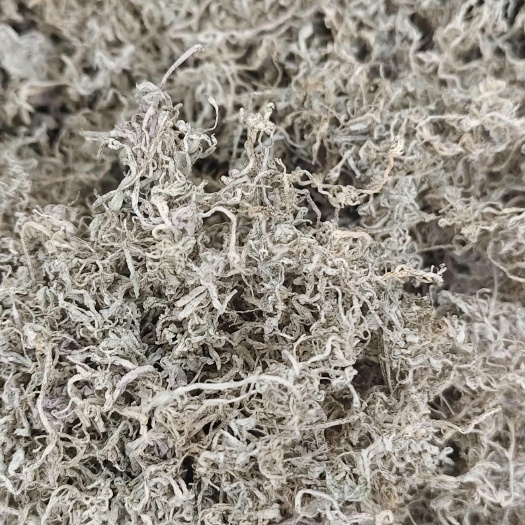 成都腾茶  霉茶  大货批发 现货
