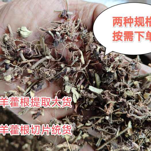 苍溪县【常年大货】四川巴中广元非种植淫羊藿根，仙灵脾，带毛货