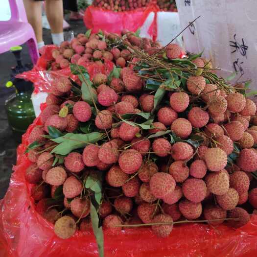 钦州黑叶荔