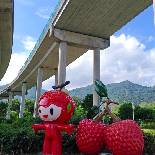 惠州正宗沥林桂味荔枝，自家果园现摘现卖，量大优惠大