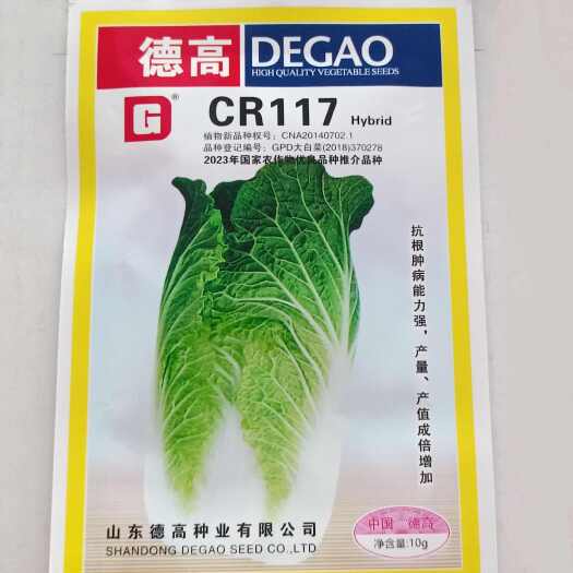 德高cR117早熟大白菜抗病菜根肿病有强的抗性耐贮藏耐运输