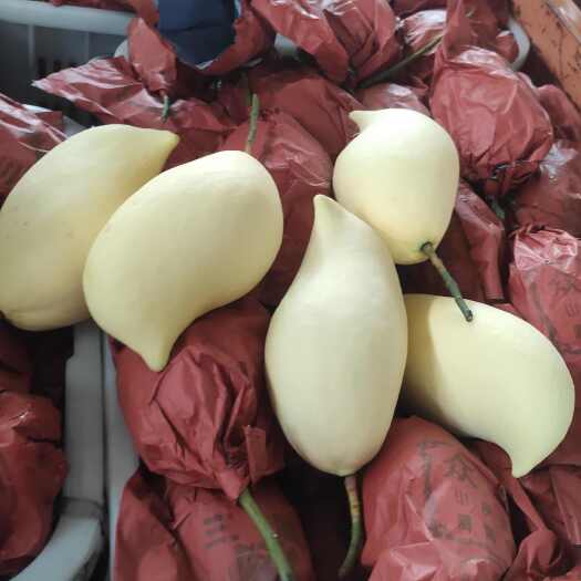 保山云南鹰嘴芒摸摸袋，产地直发，一手货源，品质保证