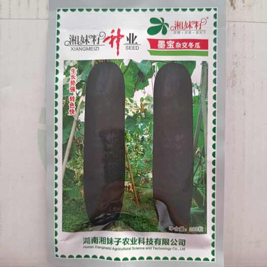 长沙县湘妹籽墨宝杂交冬瓜 黑皮冬瓜种子长柱形 肉质致密瓜长95CM