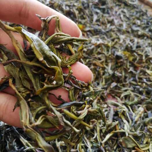 墨江县有没有人要买点普洱茶叶的？我给寄过去。五十两斤包邮。要多