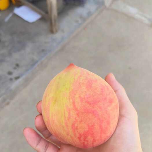 南召县毛桃，嘴甜多汁