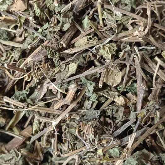 昆明绞股蓝货品为实物拍摄云南野生绞股蓝