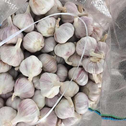 5.0规格5.5规格零售价格，邳州精品产地直发，接代办