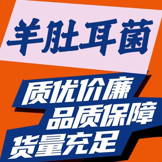 鱼台县羊肚耳菌～产地直发，一手货源，货量充足，品质保证