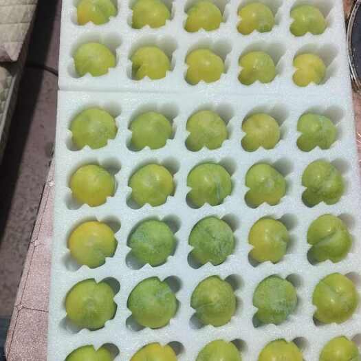 镇宁县六马蜂糖李