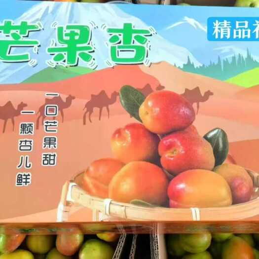 阿克苏市特J精品芒果杏 新疆阿克苏新鲜杏子 现摘现发  果香浓郁