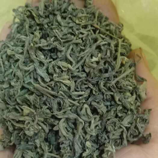 揭西县广东省揭西县白露绿茶