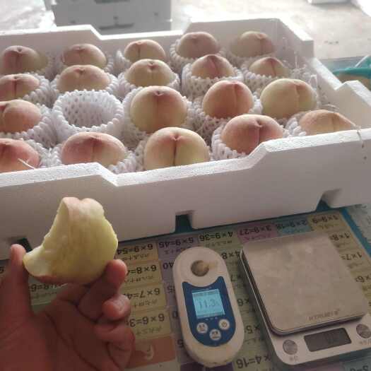 无锡无锡阳山水蜜桃，专业承接各类电商一件代发，大量批发