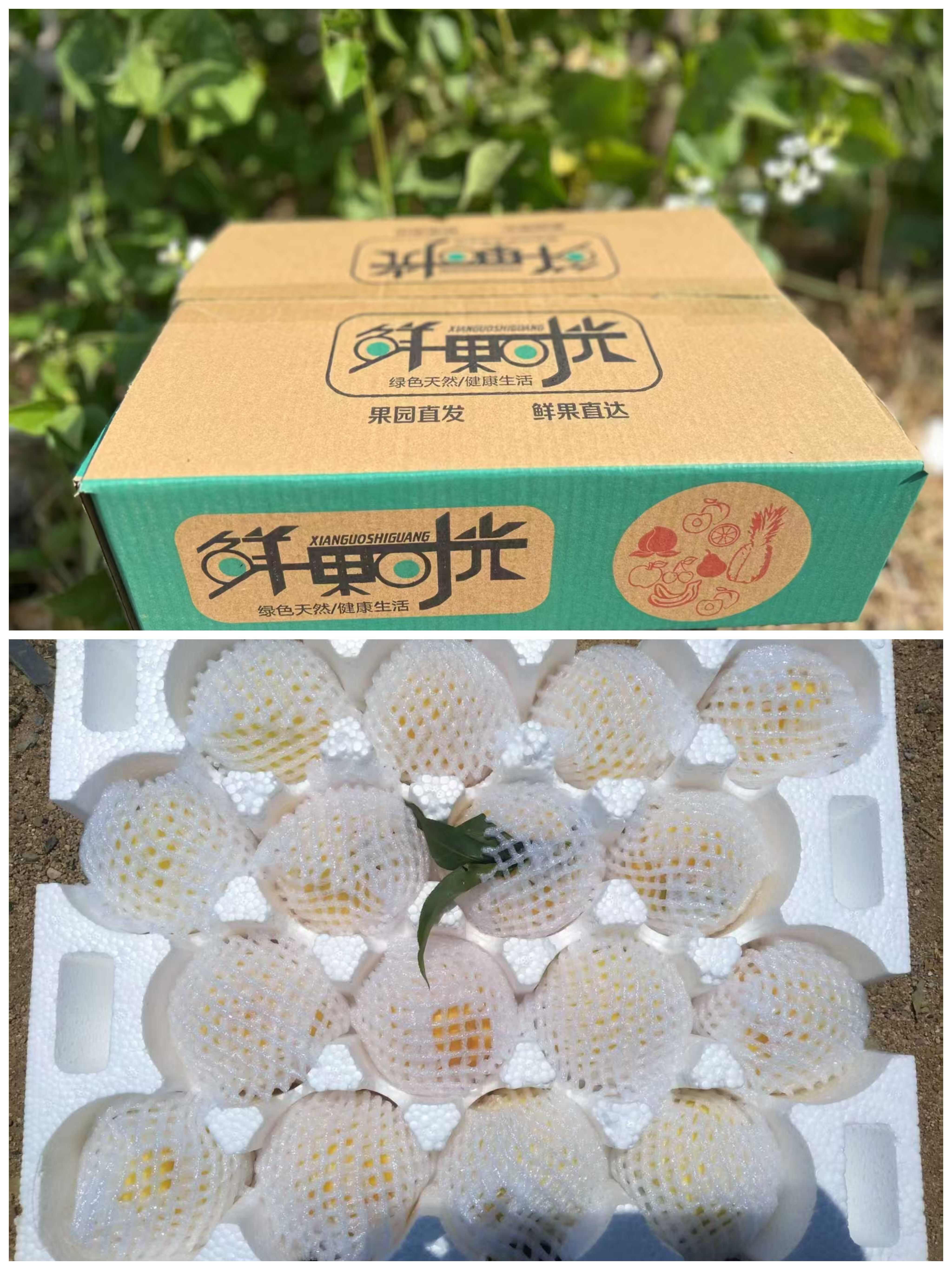 顺丰包邮~山东蒙阴高山精品黄油桃，自然熟黄金油桃
