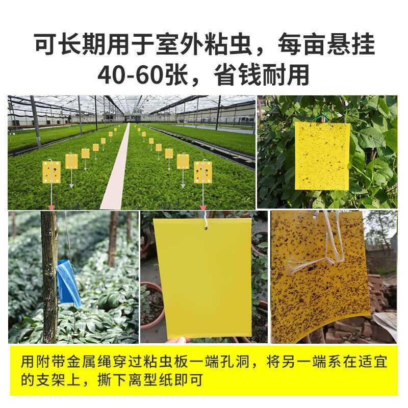 环保诱虫板，特种PP材质、生物降解材质，黄/蓝颜色 双面涂胶