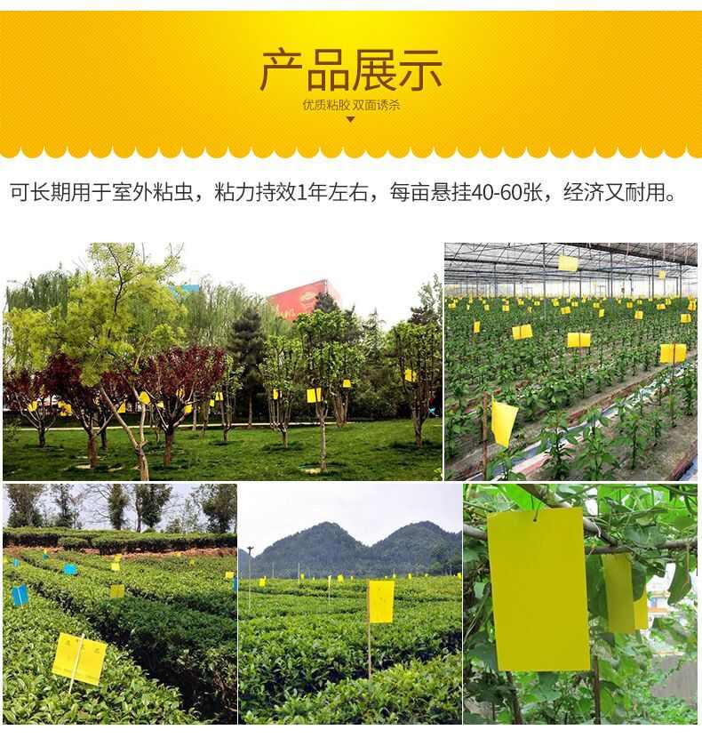 环保诱虫板，特种PP材质、生物降解材质，黄/蓝颜色 双面涂胶