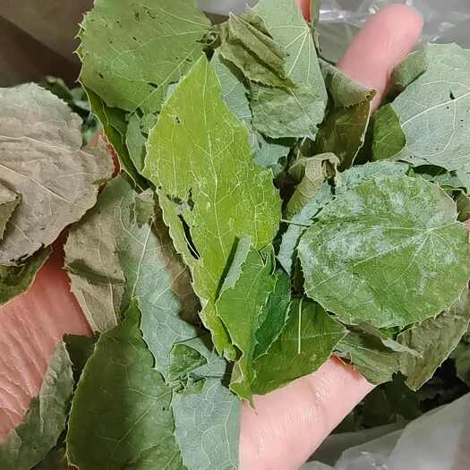 安国市淫羊藿 甘肃圆叶 选货 颜色好