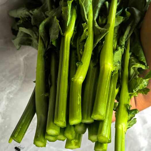 昆明云南高原绿色板蓝根青菜