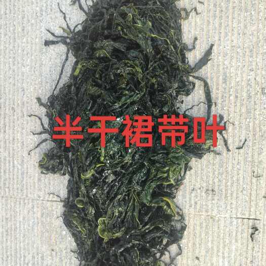 裙带菜，优选精品菜叶半干出口级，翠嫩丝滑，泡发率高