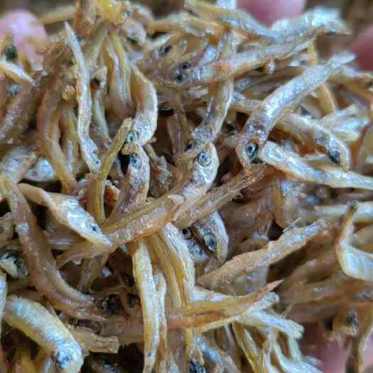 广州油炸小公鱼干，淡水油炸小鱼干，好吃