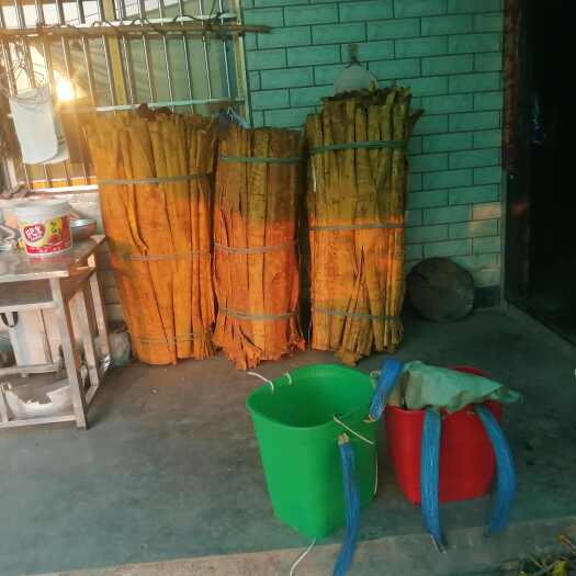 水富市黄柏售卖