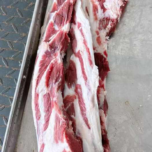 阳信县山东阳信新鲜牛骨 牛副产品优选 高品质肉类食材