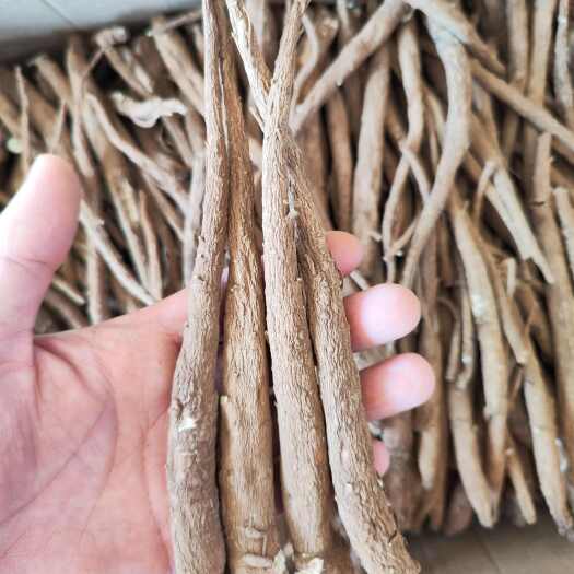 洱源县云南甜当归产地一手货源批发