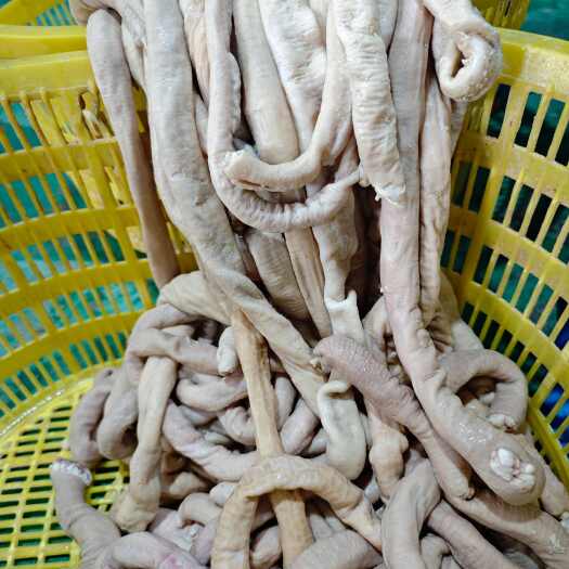 大厂县少油小肠，产品实拍，冷链发货