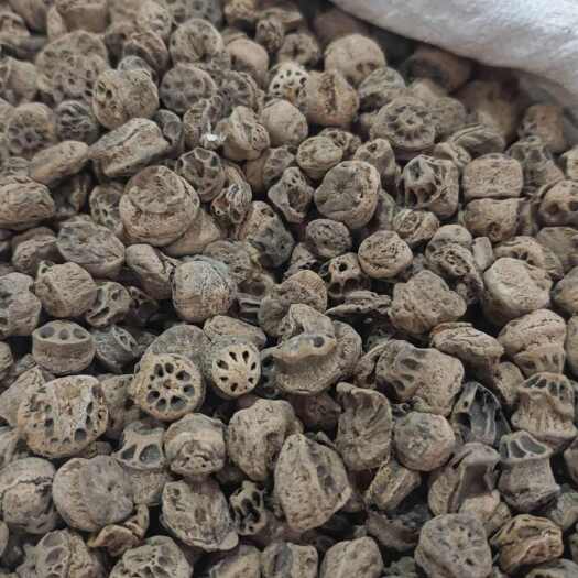 亳州药食同源
