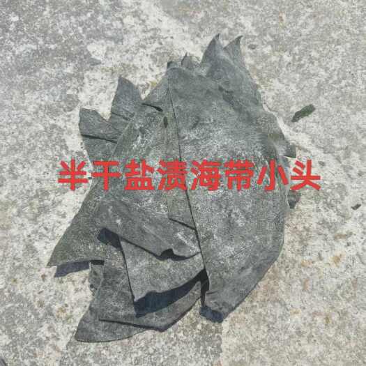 荣成市七成干盐渍海带短头，长10公分左右，地摊展销会跑江湖热卖货源