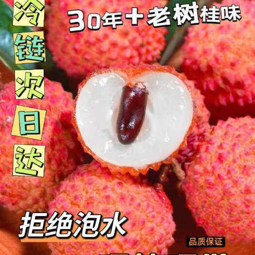 广州30年老树桂味！自家果园十亩地，广州花都！