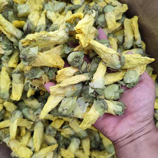 安国市黄蜀葵 金花葵 花蕾 大花 各种规格 手机实拍图