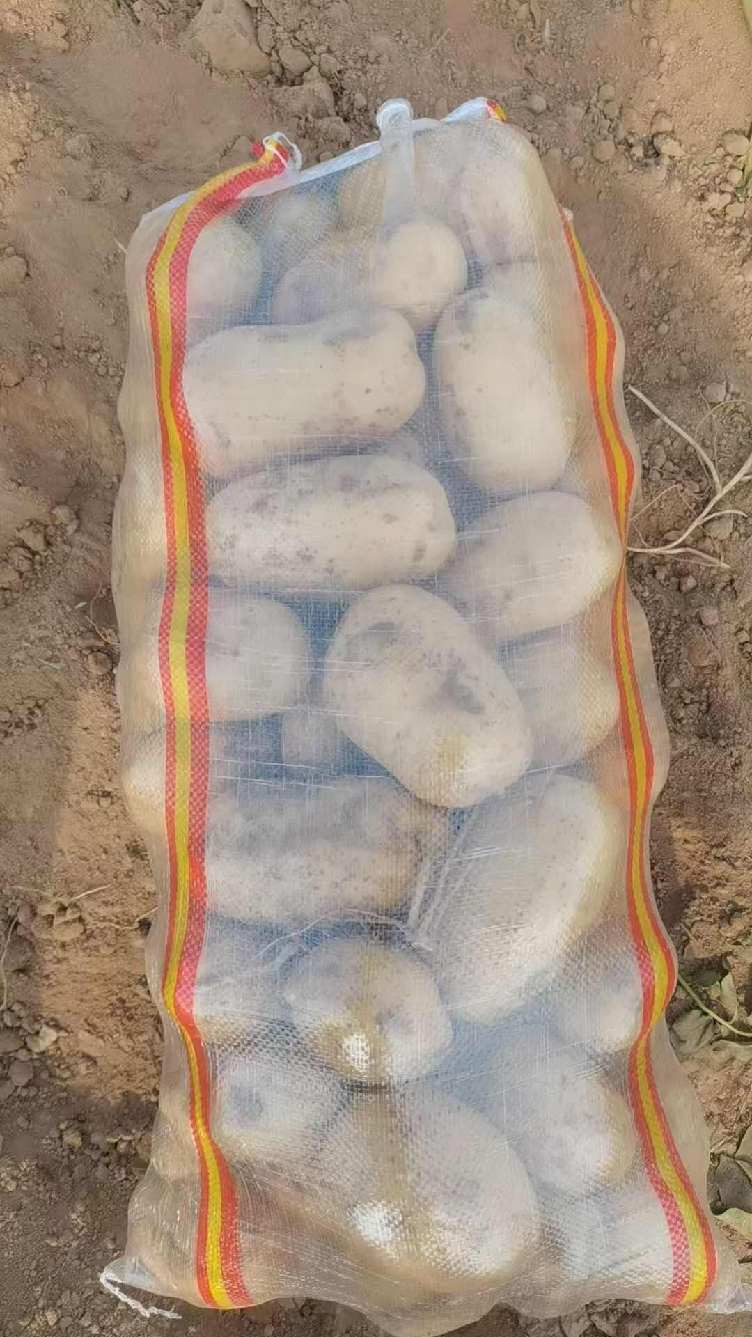 黄心土豆   口感醇厚绵密，味道香醇