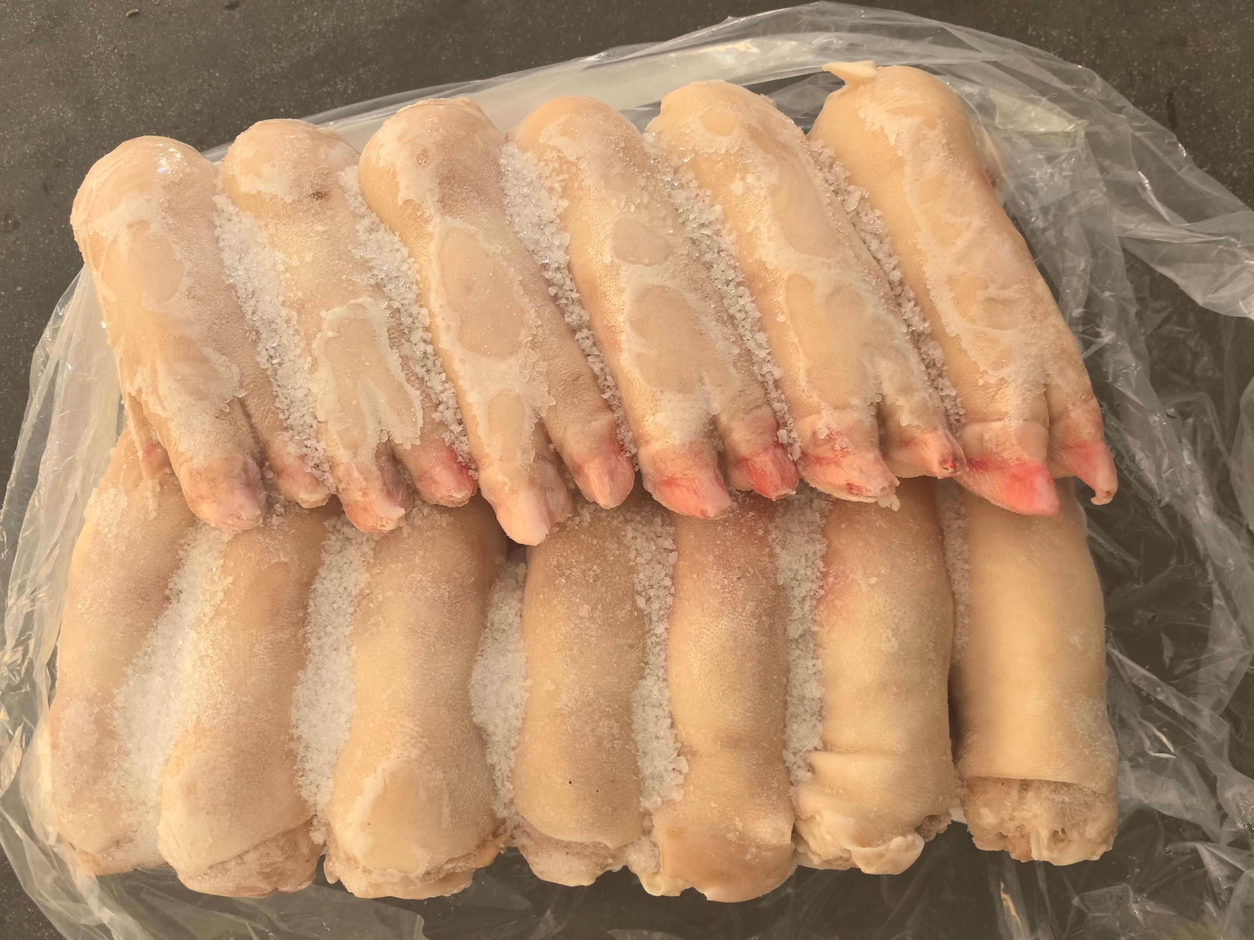 成都猪蹄 纯国产   纯干猪蹄新货手续齐全