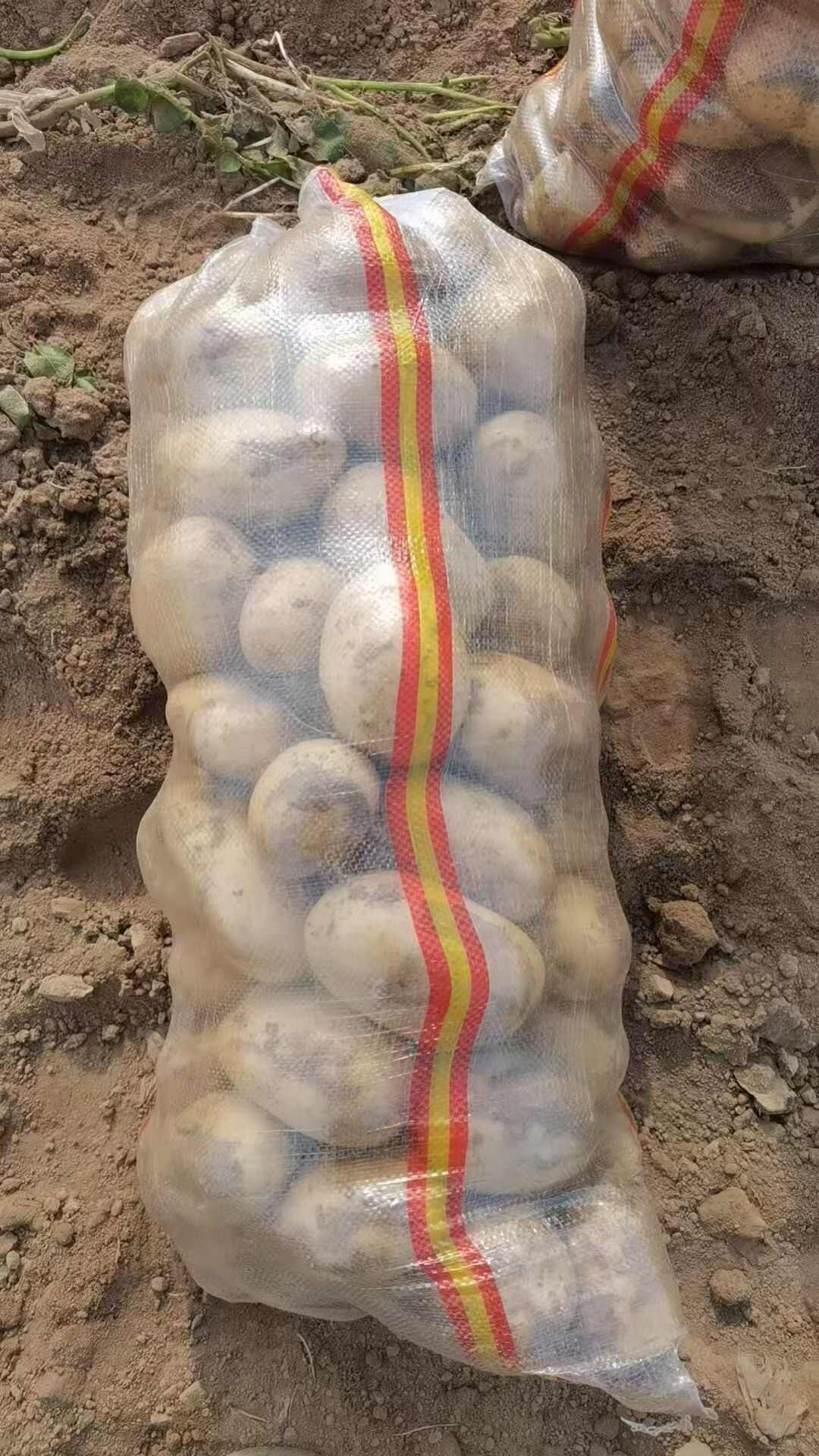 黄心土豆   口感醇厚绵密，味道香醇