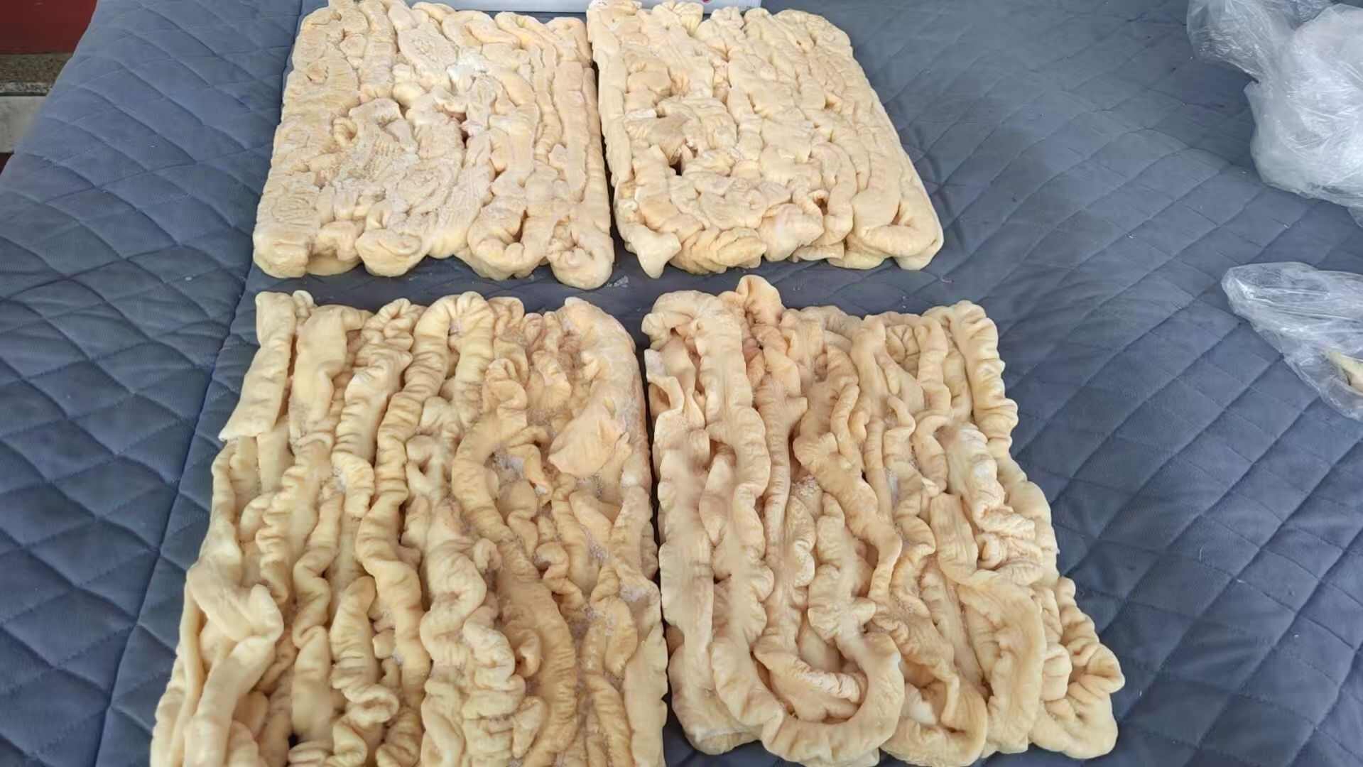猪肠  鲜冻熟肥肠20斤一件，无油干净，餐饮用着省心
