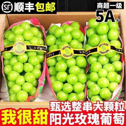 红河县【顺丰到家】阳光玫瑰新鲜云南葡萄晴王青提当季水晶葡萄新鲜提子