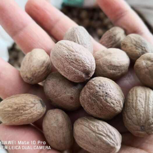 安国市肉豆蔻 干货 调料 中药材 量大优惠