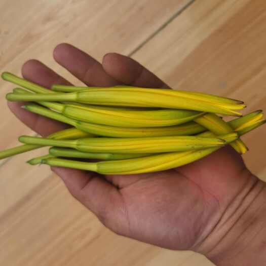 富硒黄花菜鲜货，干货