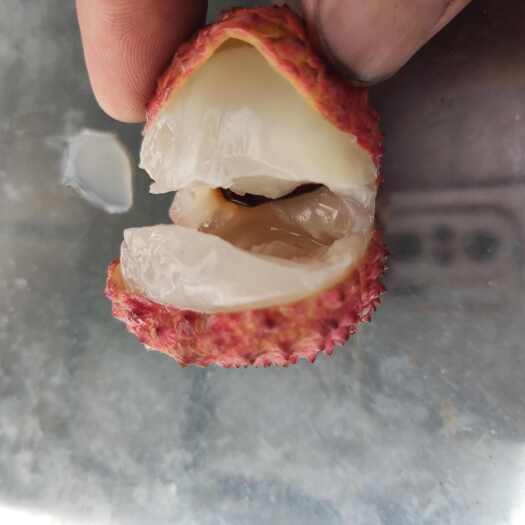 阳春市桂味，糯米糍