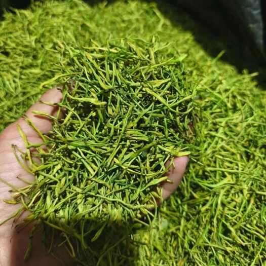 秀山重庆秀山渝蕾一号金银花