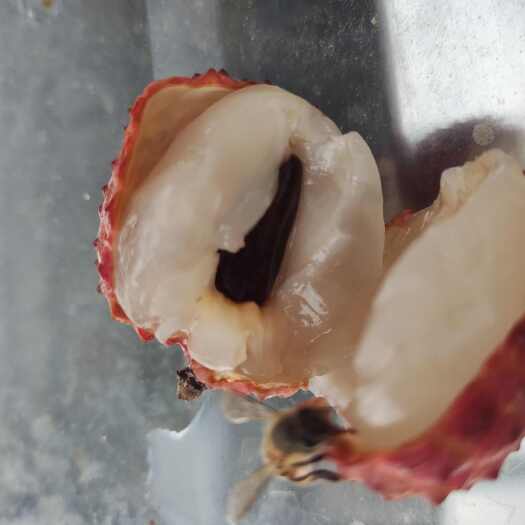 阳春市桂味，糯米糍